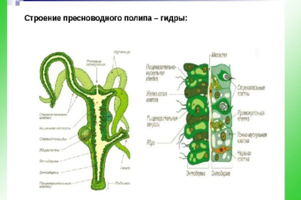 Кракен переход