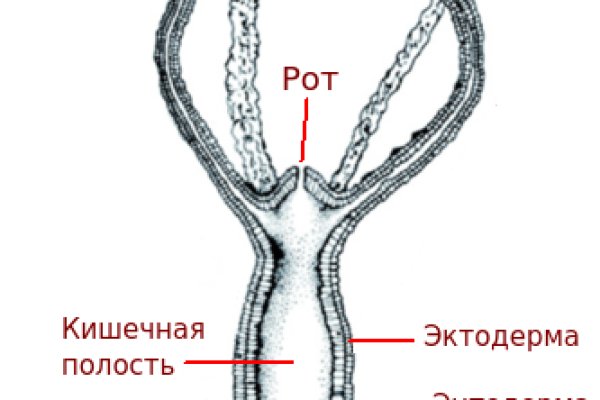 Kraken актуальные зеркала krakentor site